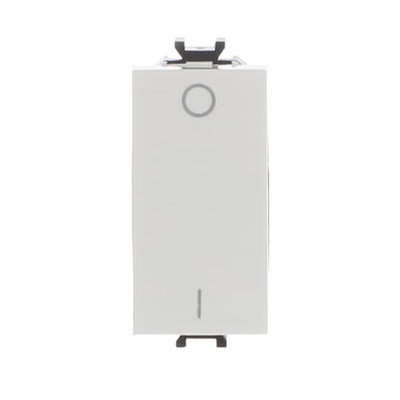 Interrutori Rocker/button, 2-pole switch 2P with Not included Bianco - Chiara