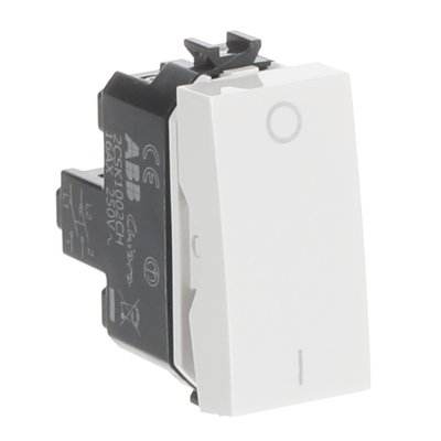 Interrutori 2-pole switch 2P with Not included Bianco - Chiara