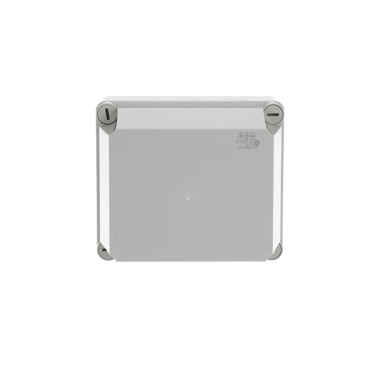 IP44-55-65 GWT 960°C Surface mounting General