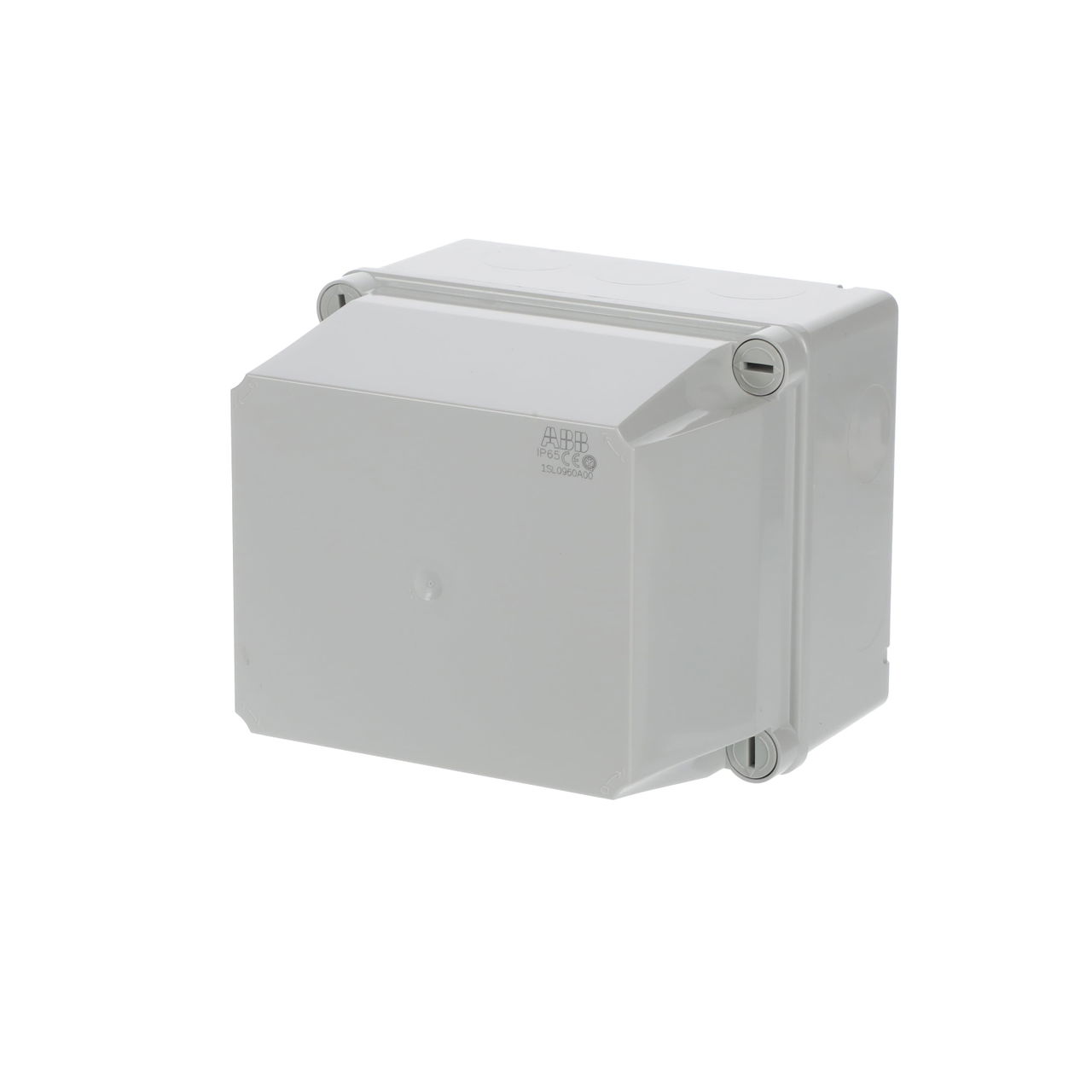 IP44-55-65 GWT 960°C Surface mounting General – Immagine 3 di 3