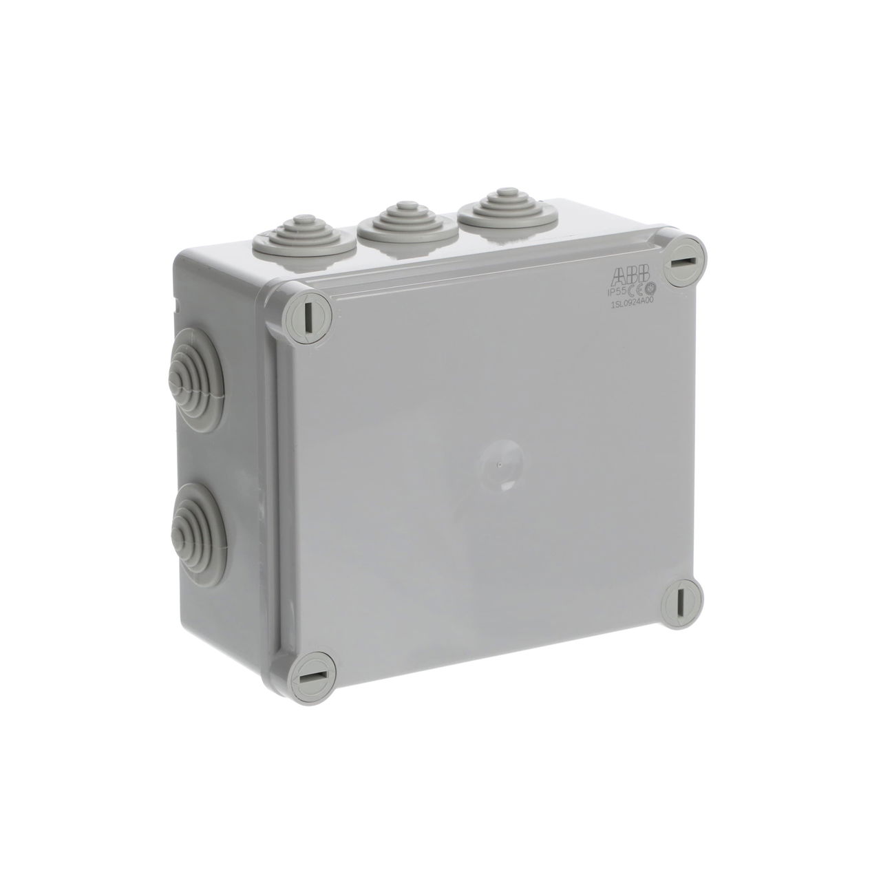IP44-55-65 GWT 960°C Surface mounting General