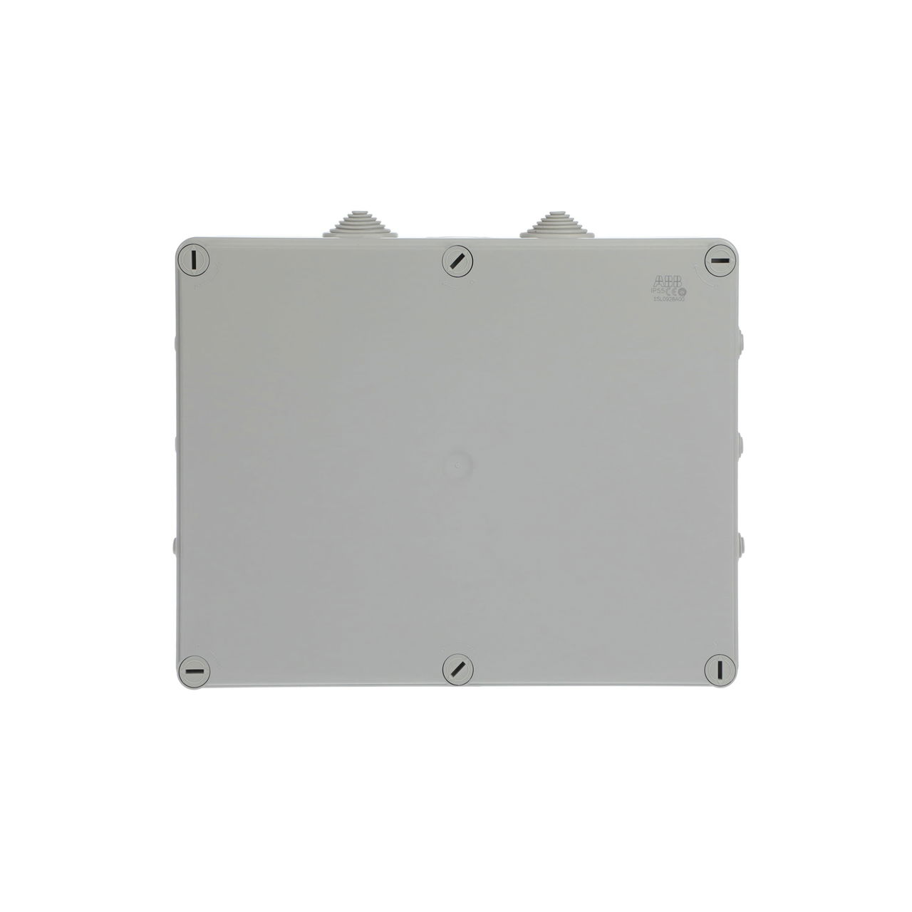 IP44-55-65 GWT 960°C Surface mounting General