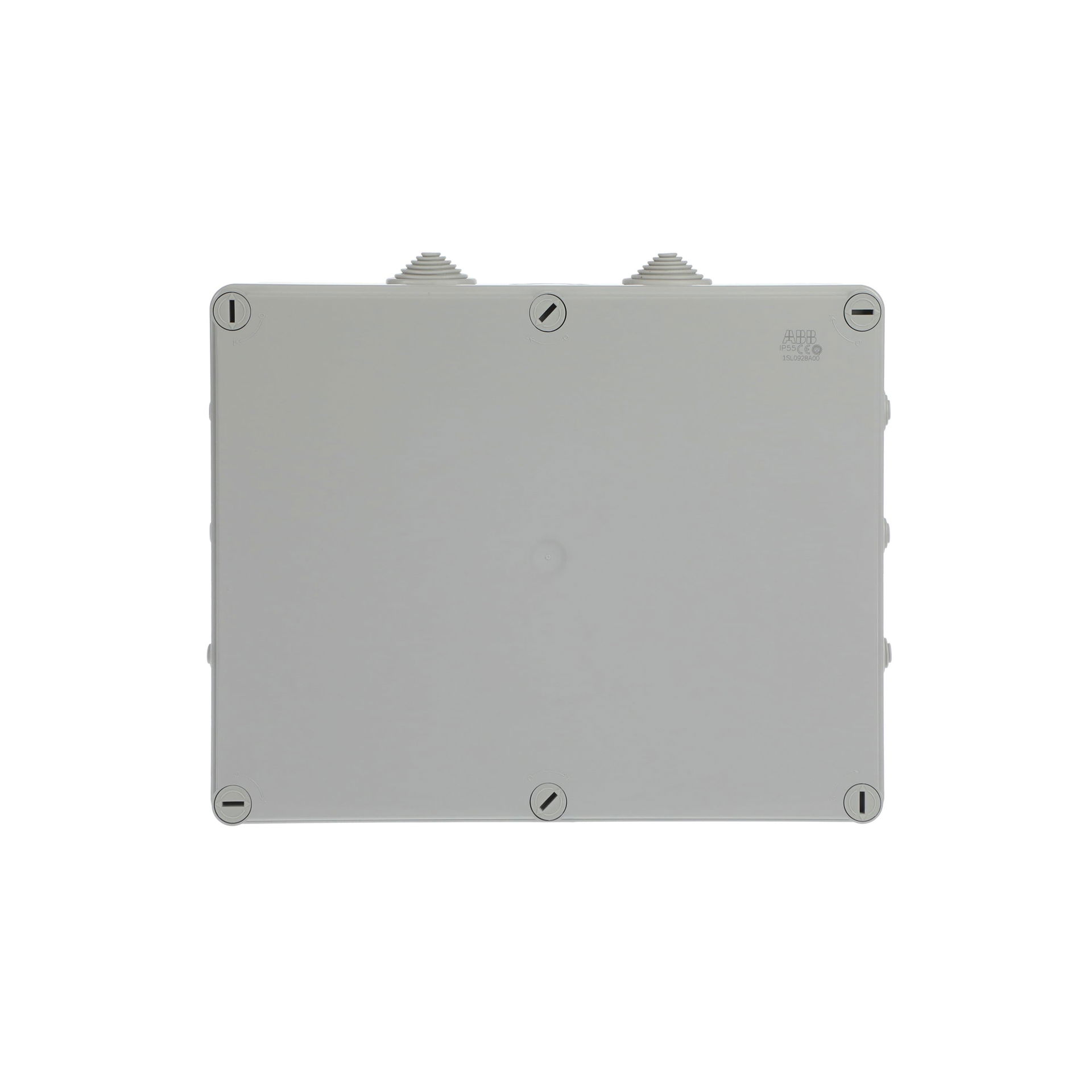 IP44-55-65 GWT 960°C Surface mounting General