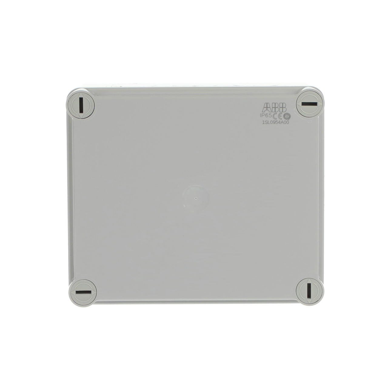 IP44-55-65 GWT 960°C Surface mounting General
