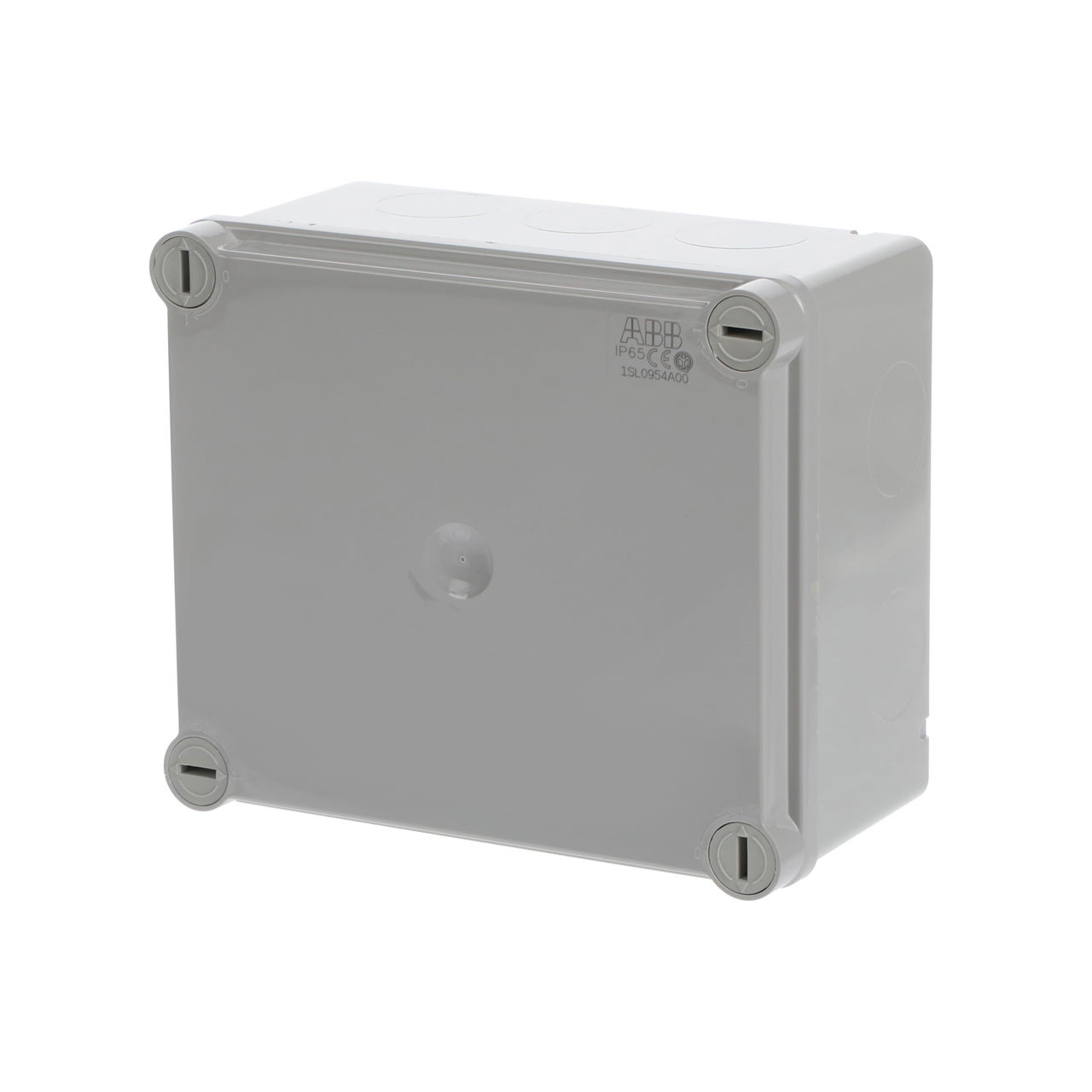 IP44-55-65 GWT 960°C Surface mounting General – Immagine 3 di 3