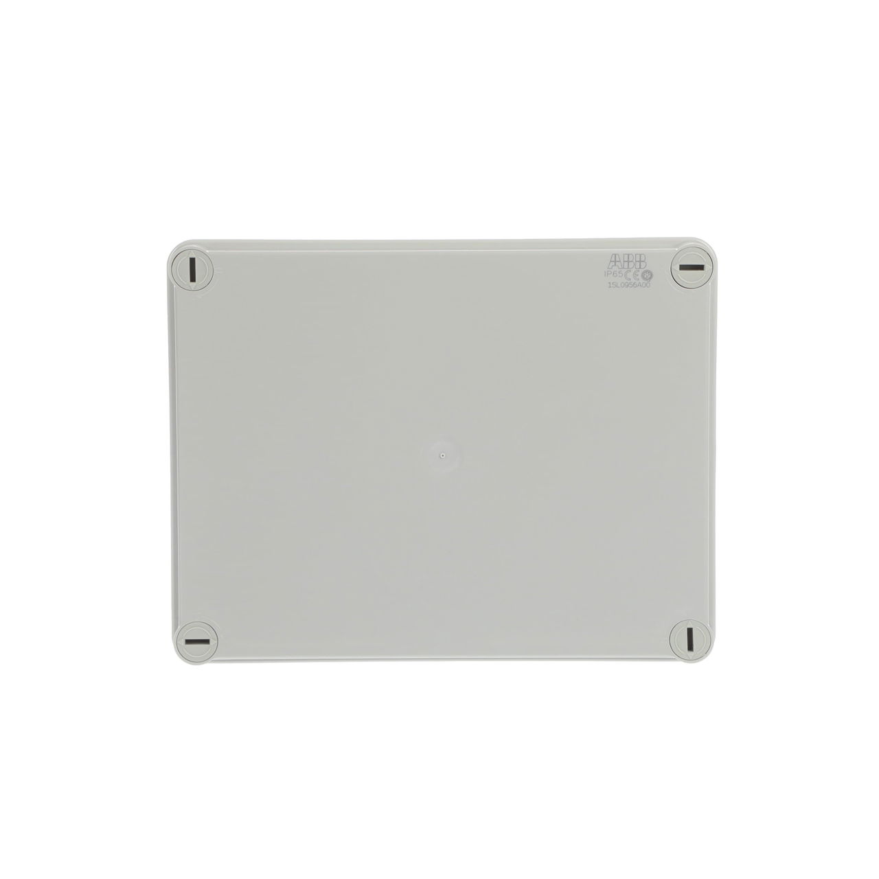 IP44-55-65 GWT 960°C Surface mounting General