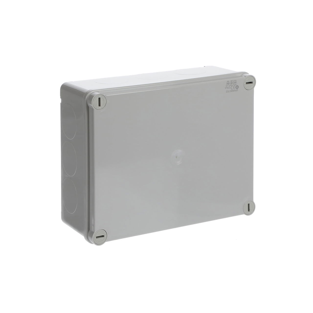 IP44-55-65 GWT 960°C Surface mounting General – Immagine 2 di 3