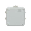 IP44-55-65 GWT 960°C Surface mounting General