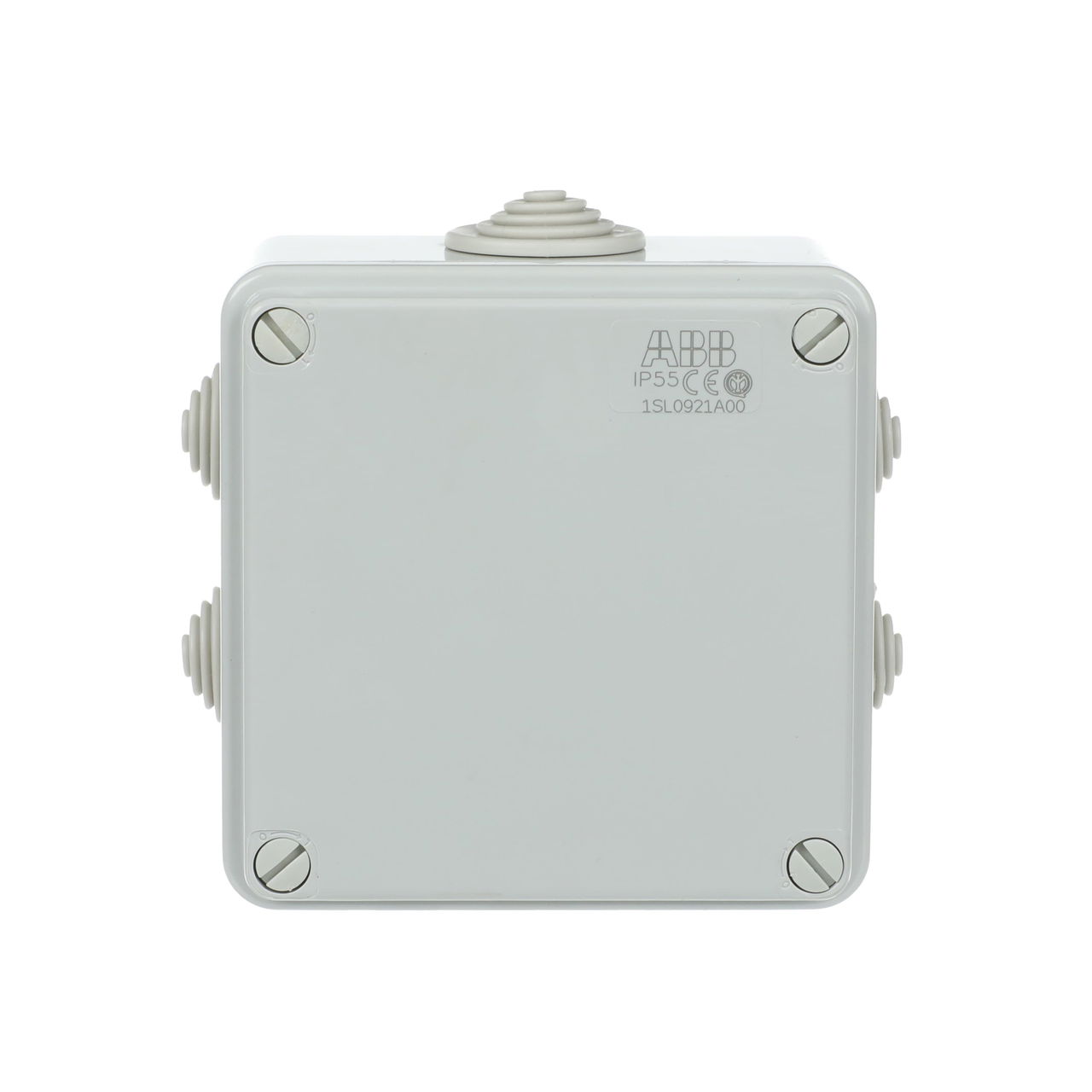 IP44-55-65 GWT 960°C Surface mounting General