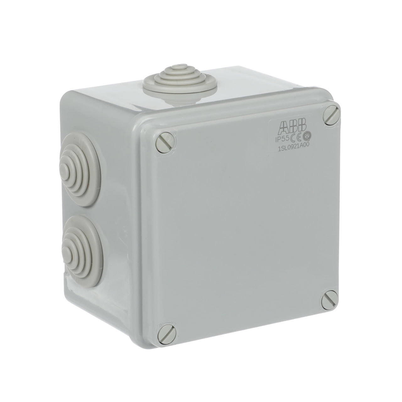 IP44-55-65 GWT 960°C Surface mounting General – Immagine 2 di 3