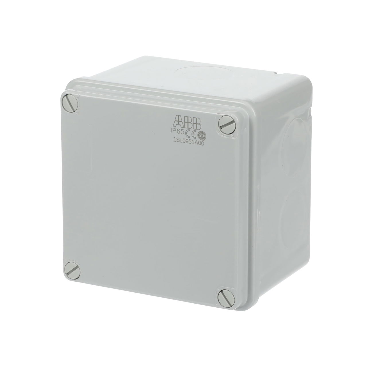 IP44-55-65 GWT 960°C Surface mounting General – Immagine 4 di 4