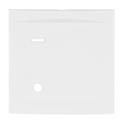 88880A3 PLACCA PER PULSANTE A TIRANTE