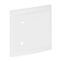 88880A3 PLACCA PER PULSANTE A TIRANTE