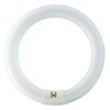 MASTER TL-E Circular Super 80 - Fluorescent lamp - Potenza: 40 W - Classe di efficienza energetica (ELL): A