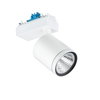StyliD Evo Performance Maxos fusion - 1 pc - LED Module, system flux 4900 lm