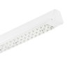 Maxos Led Industry - Generation 4 - 1 unit for TL-D 58 W - LED Module, system flux 5500 lm - 840 bianco neutro - Power supply unit with DALI interface