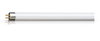 Attiniche BL - UV lamp