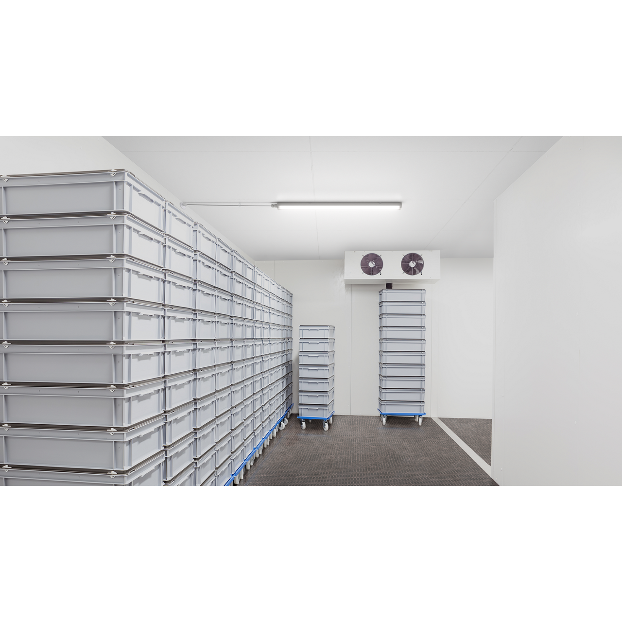 Stagna WT050C, L1500 mm, IP65, IK08 – Immagine 2 di 3
