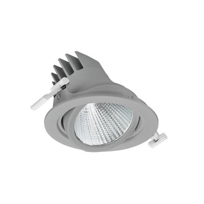 LuxSpace Accent Performance Adjustable, Recessed, 37.5 W, D155 mm, 5200 lm, 2700 K, Fascio extra largo, Riflettore PerfectAccent, Argento, IP20