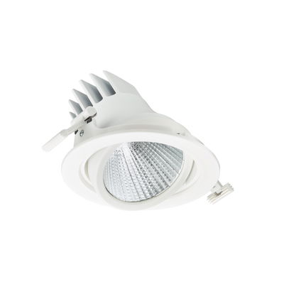 LuxSpace Accent Performance Adjustable, Recessed, 35 W, D155 mm, 2800 lm, Fresh meat, 3000 K, CRI90, Riflettore in metallo a fascio largo ad alta