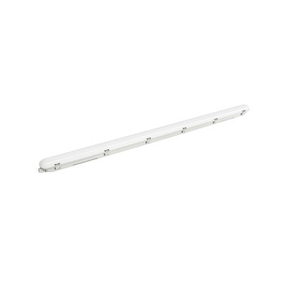 Ledinaire Stagna WT065C, 60 W, L1500 mm, 9800 lm, 4000 K, Simmetrica, Trasparente, IP65, IK08, TW1-ready