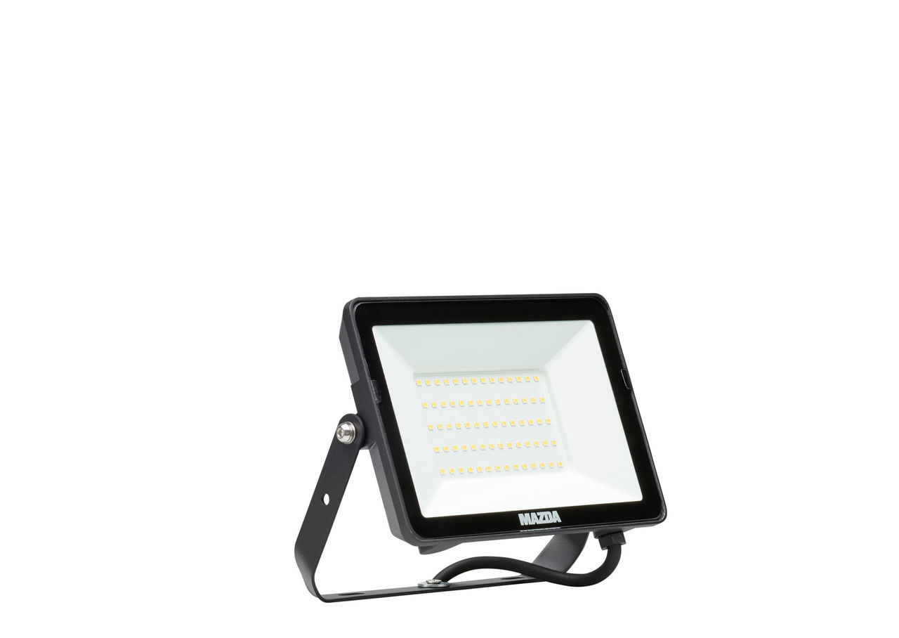 Proiettori Mazda gen2, 30 W, 2850 lm, 6500 K, CRI80, Simmetrica, IP65 – Immagine 2 di 10