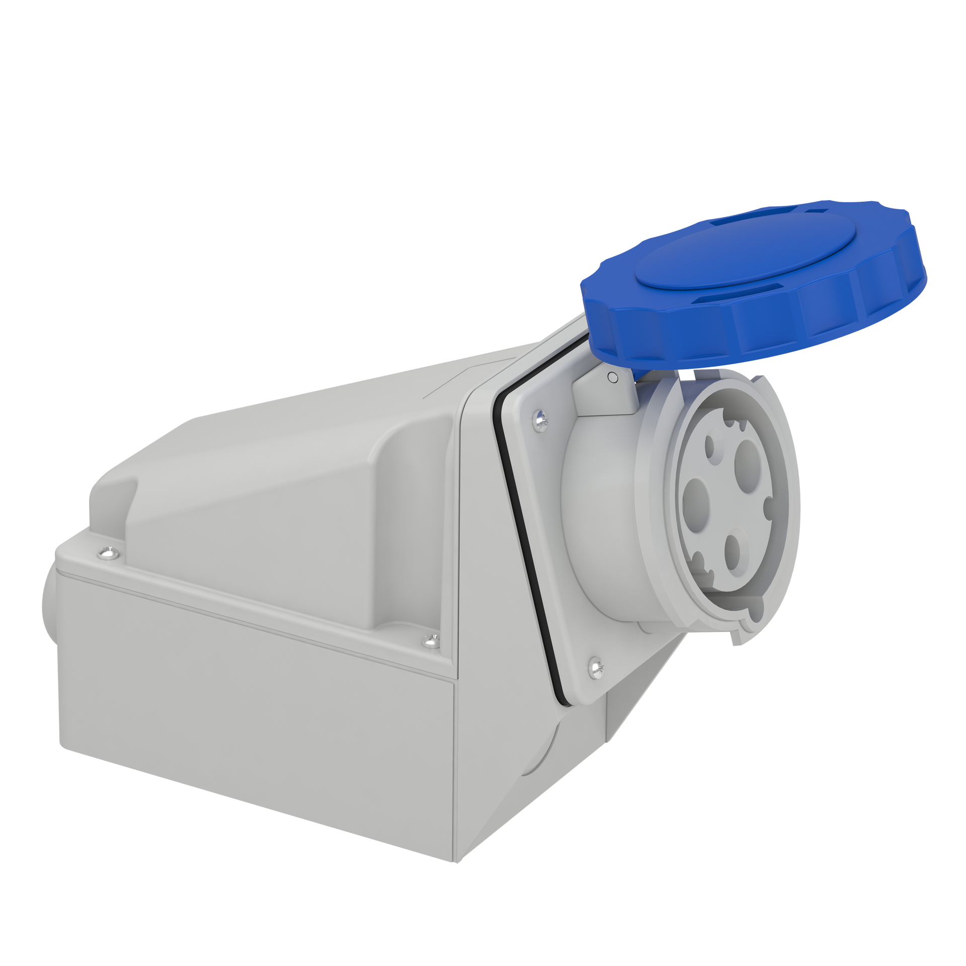 Presa fissa BT da parete IP67 63A 220V 2P+T