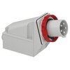 Spina fissa BT da parete IP67 63A 380V 3P+N+T