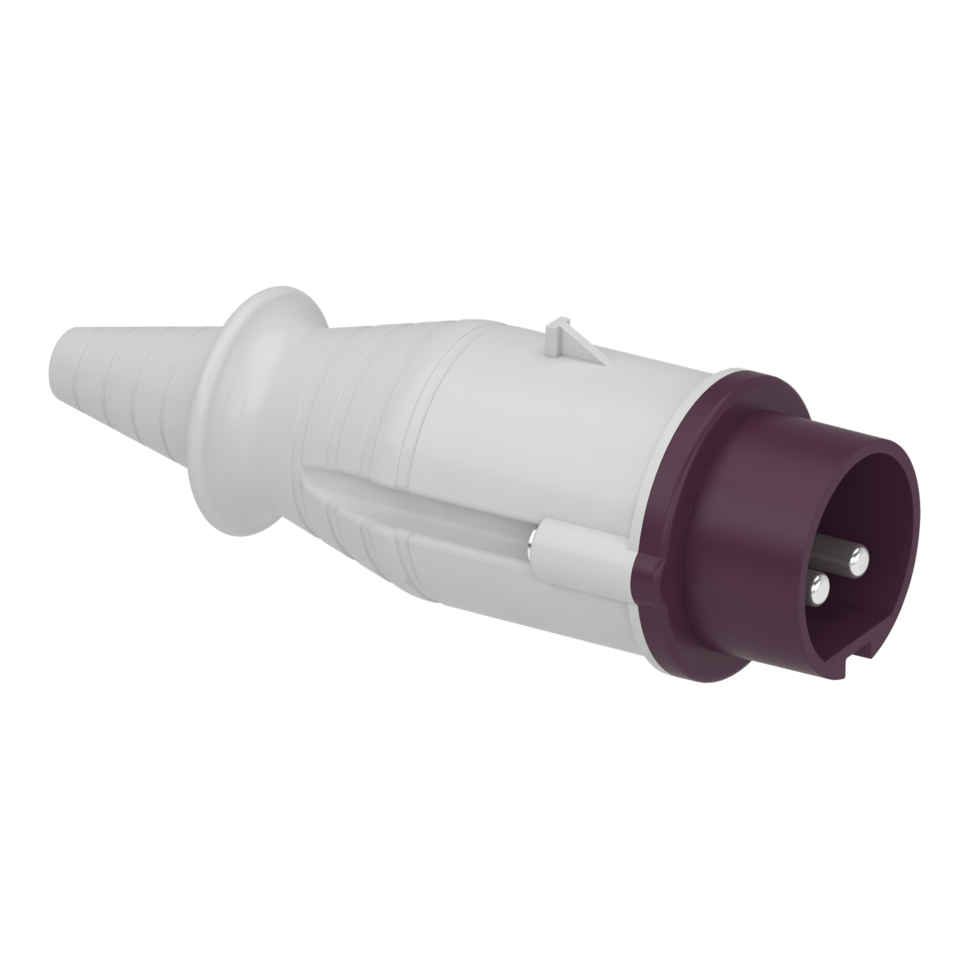 Spina mobile BTS IP44 16A 24V 50Hz 2P