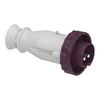 Spina mobile BTS IP67 16A 24V 50Hz 2P