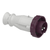 Spina mobile BTS IP67 16A 24V 50Hz 2P