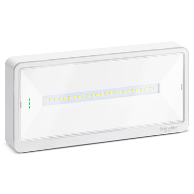 Exiway Light, IP65, Autoalimentato Autodiagnosi Activa, SE-SA, 500/400/300/250 lm SE, 230lm SA, 1/1,5/2/3h, illuminazione di sicurezza