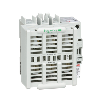 Interruttore Sezionatore con fusibile, TeSys, GS1, 30 A - dimensione fusibile J