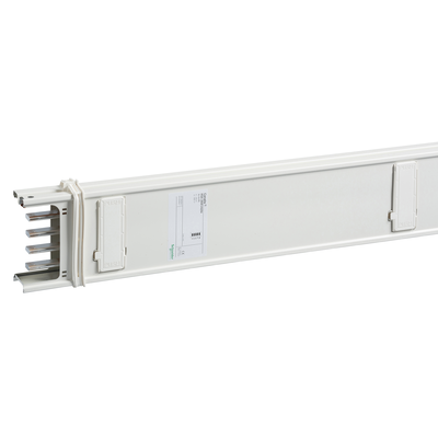 Canalis - Elemento di colonna - 100 A - 2,5 m - 4 derivazioni