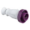 Spina mobile BTS IP67 32A 24V 50Hz 2P