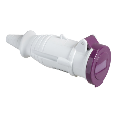 Presa mobile BTS IP44 16A 24V 50Hz 2P