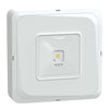 Exiway Smartbeam Soffitto, IP65, da Soccorritore Control,  190lm, Via di esodo, illuminazione di sicurezza