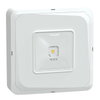 Exiway Smartbeam Soffitto, IP65, da Soccorritore Control,  190lm, Via di esodo, illuminazione di sicurezza