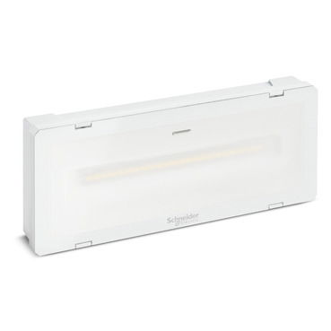 Lampada di emergenza, Exiway Smartled, Activa/Dicube, durata selezionabile, 500 lm, permanente/non permanente, IP65, – Immagine 2 di 3