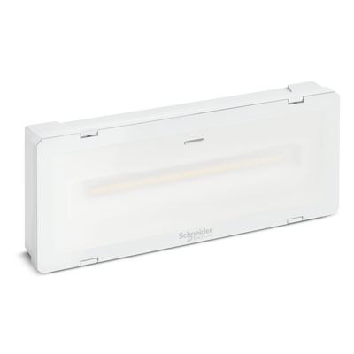 Apparecchio di emergenza, Exiway Smartled, 230V DALI, 1000lm, IP65, IK07, bianco