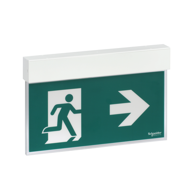 Exiway Easysign, IP40, Autoalimentato Standard, Permanente (SA) / Non Permanente (SE), 30m, 3h, Apparecchio di segnalazione di sicurezza