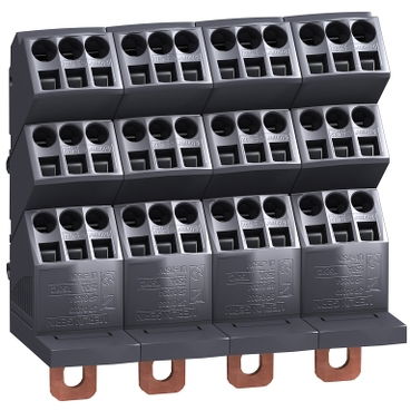 Polybloc 250A 4P – Immagine 2 di 3