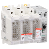 Interruttore Sezionatore con fusibile, TeSys, GS, 3P - UL 30 A - dimensione fusibile J