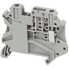 Morsetto vite sezionamento, 2pt, 4mm² grigio