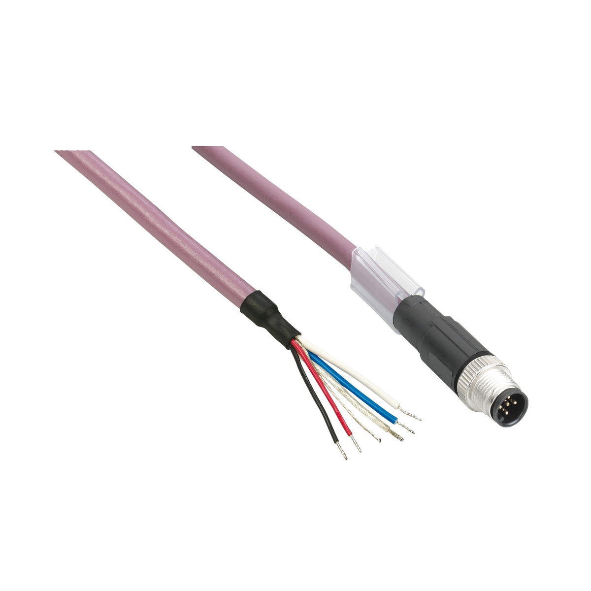 Cavo alimentazione IN- dritto - connettore femmina M8 - 10 m – Immagine 3 di 3