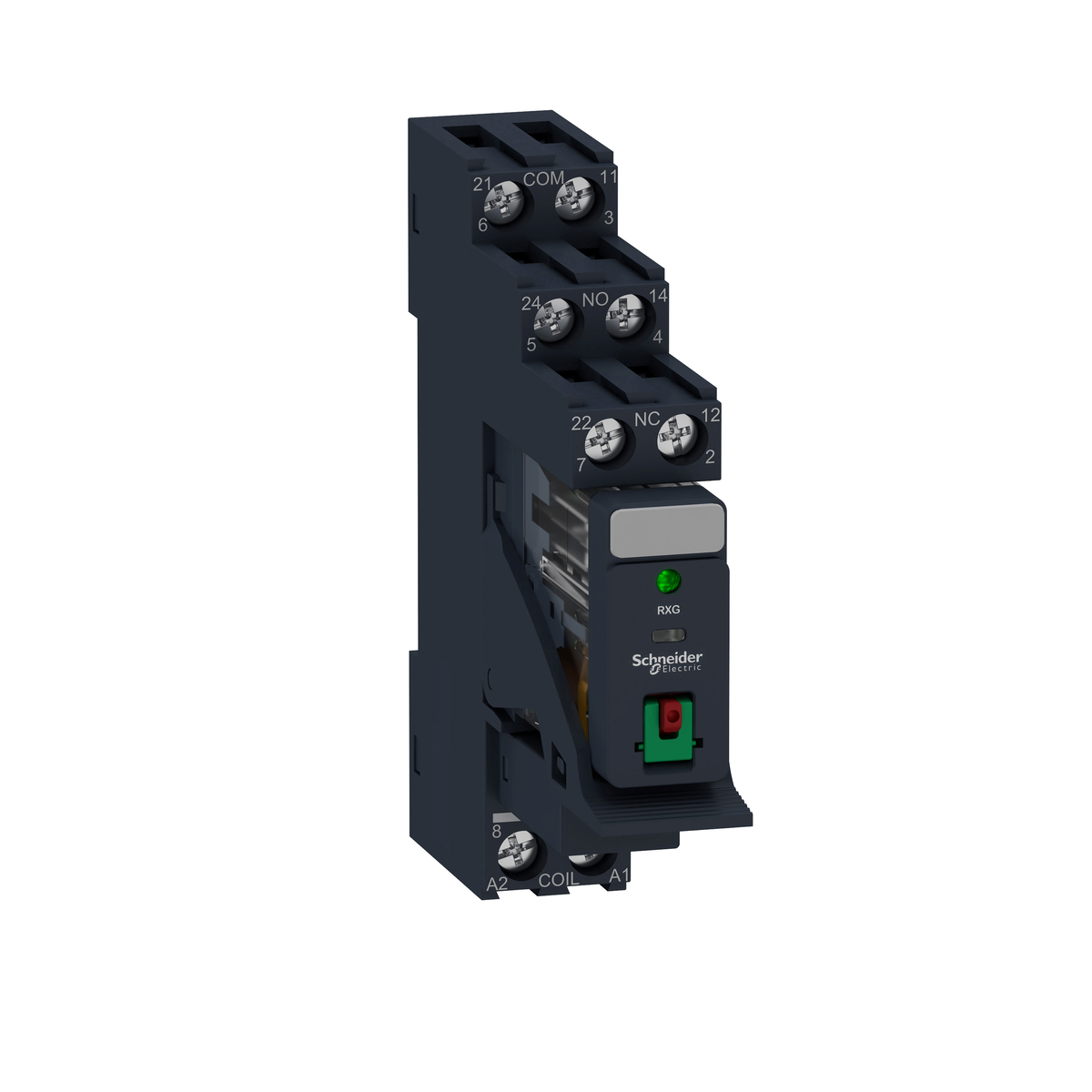 Relè RXG - pulsante test+LED pre-montato - base-2NC/NO 5A 24Vca + varistore