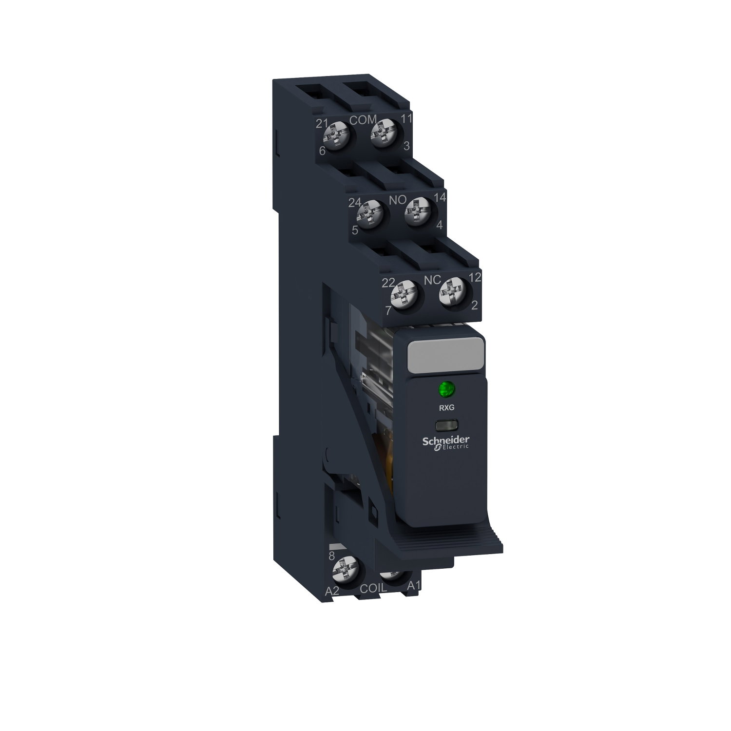 Relè RXG con LED , pre-montato con base-2NC/NO 5A 24VDC + diodo – Immagine 3 di 4