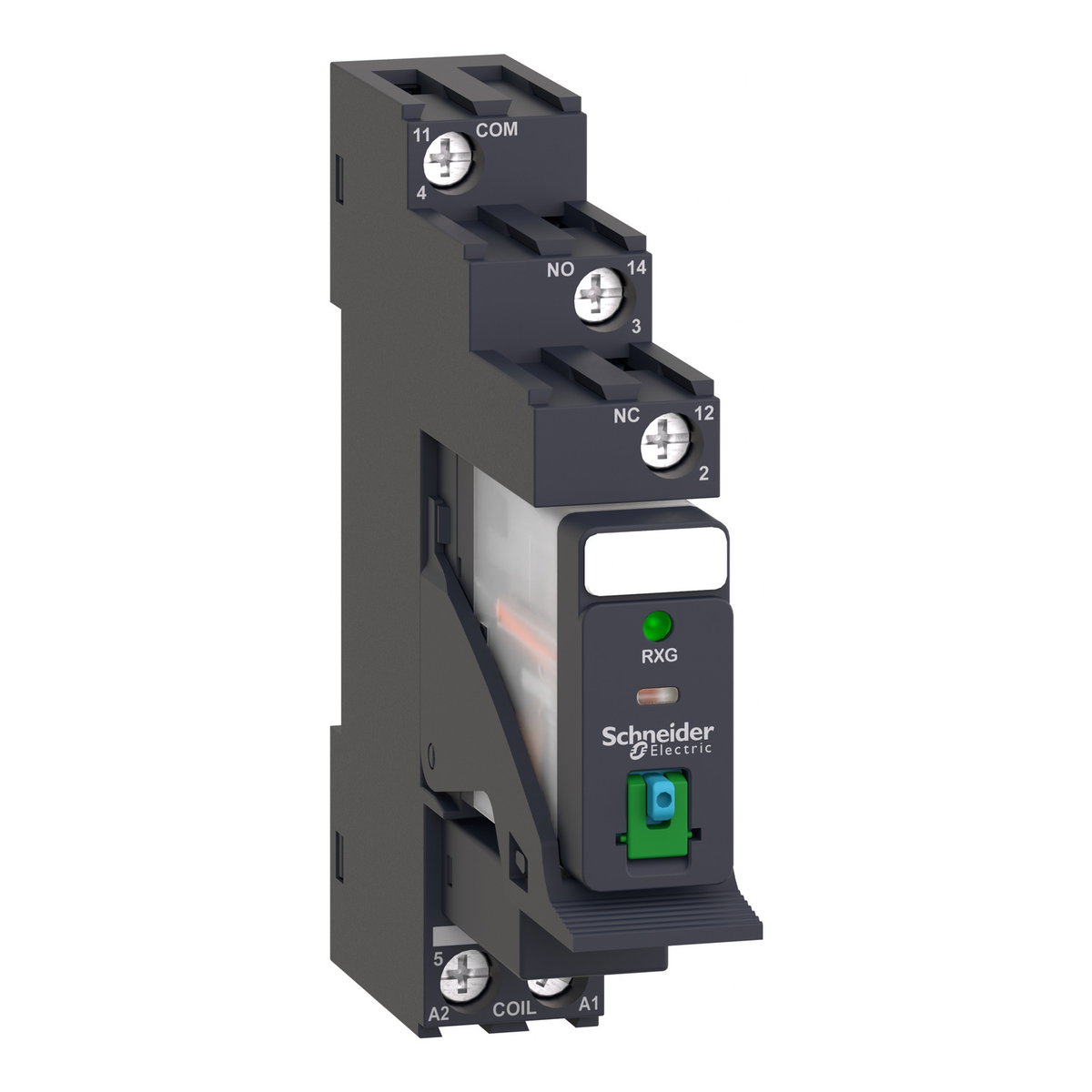Relè RXG - pulsante test+LED pre-montato - base-1NC/NO 10A 24Vcc + diodo – Immagine 3 di 4