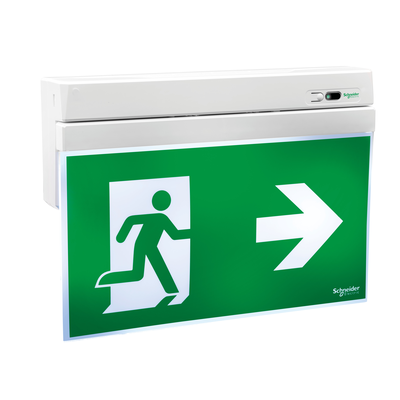 Exiway Smartexit, IP40, da Soccorritore 230V DALI, 26m, Apparecchio di segnalazione di sicurezza