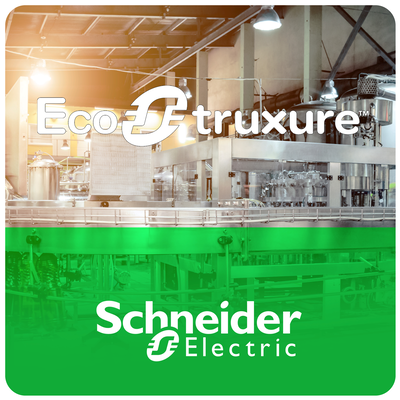 Licenza digitale, Ecostruxure Machine Expert, Entità di sicurezza(100)